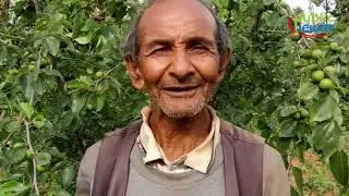 Bodhichitta not sold, loss of more than half a Crore, बिक्रि भएन बोधिचित्त, आधा करोड बढि घाटा
