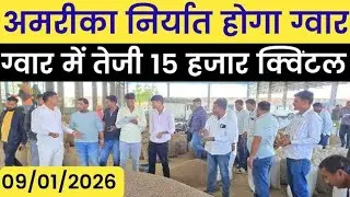 ग्वार का ताजा भाव, 9 जनवरी 2026 आज ग्वार में कितनी आई तेजी देखें भाव| gwar ka bhav,guar seed price