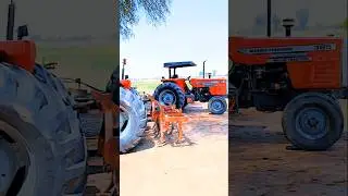 Massey Ferguson tractor 385#tractor #trending #farming #goldfarming #tractor385 #punjabisong #song
