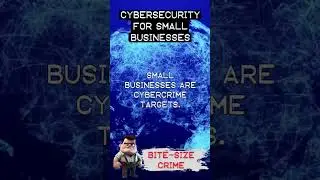 BSC - Bite-Size Crime - Cybercrime Trivia # 24