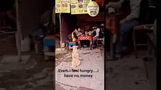 #doggy doggy love#dogs#cats#youtube shorts#viral video