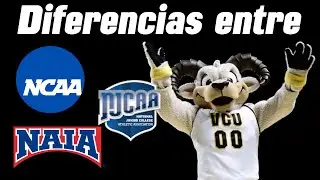 ¿Qué es la NCAA, NAIA y NJCAA? | Diferencias de las divisiones deportivas Universitarias.