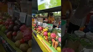 ANEKA JUICE KHAS NTT #streetfood #fruitjuice #avocadojuice #jusbuah #alpukatmentega #bali
