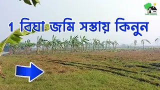 Fp - 1416 | ১ বিঘা জমি জমি সস্তায় কিনুন | 9073 145 145