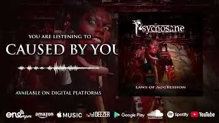 Psychosane - Caused By You, Band link below!