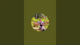 Richa Ranu is live jay mata di sabhi ko mai katra me hu