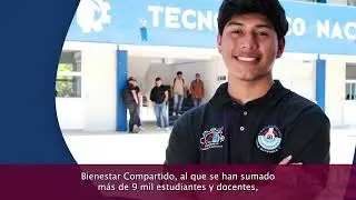 El Pulso del INEA 12