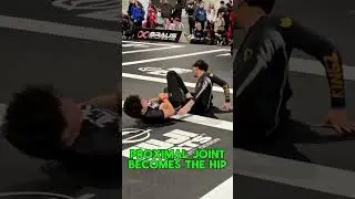 How Adele Fornarino Submitted Jasmine Rocha #bjj #nogi #leglocks
