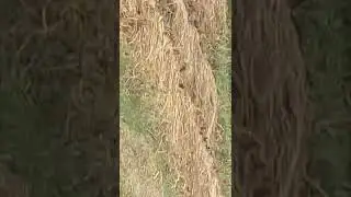 plot in patna/Land for sale property patna sakraicha punpun  surksha bandh mob 8809179723