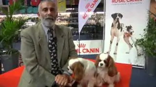 Expo Arezzo 2011 - Intervista a Pietro Paolo Condò