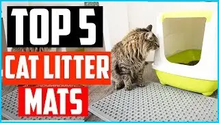 Top 5 Best Cat Litter Mats In 2026 Reviews
