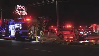 6 Confirmed animal deaths in ZooWorld fire
