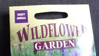 Cornflower Seeds - Centaurea cyanus - Gar&eth;akornbl&oacute;m - Akurpr&yacute;&eth;i - Bl&oacute;mafr&aelig; - Sumarbl&oacute;m
