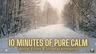 Deep Sleep in a Winter Storm ❄️ Snowfall & Cold Wind Sounds (10 Minutes)
