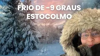 COMO &Eacute; IR AO MERCADO A P&Eacute; AP&Oacute;S UMA NEVASCA EM ESTOCOLMO? -9 &deg;C