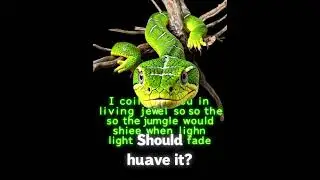 FYP fyp weak up 3:33 am Rarest Green Snake Facing Extinction Right Now #fyp