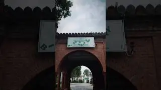 Watch the Alphabet Fall in Style at AMU! Gravity gets creative in this viral edit! #Alphabet #Viral