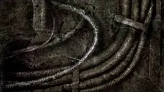 Forbidden Society - The New Cell
