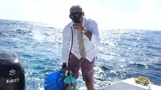 #DiveOffice: camino a la oficina