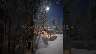 cold winter night in Finland with the reindeers and full moon ❄️✨🇫🇮 #lapland #finland #reindeer
