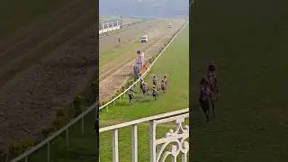 Horse Race 🏇 in Kolkata RCTC #shortvideo #viralvideo #video #horselover #horseracing #rctclassic