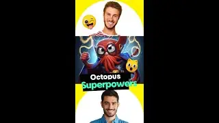 5 Octopus superpowers
