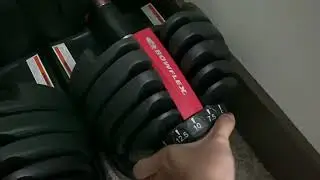 Bowflex SelectTech 552 Adjustable Dumbbells