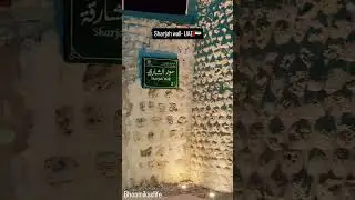 The sharjah wall #sharjah #reels #shorts #viral #ytshorts #youtube #uae #heritage