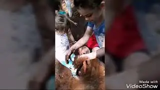 Mexa, Sinta e misture