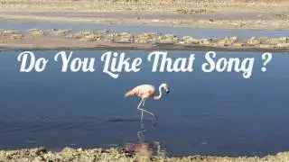 Flamingo - Heart, My (Original Mix)