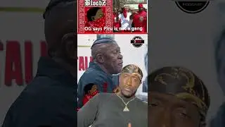 OG Blood gang member sets the record straight with Wack 100 on the true history of the street gang.