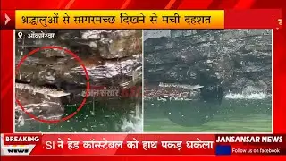 ओंकारेश्वर में नर्मदा नदी में दिखा मगरमच्छ, प्रशासन सतर्क