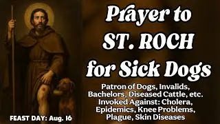 Prayer to Saint Roch for Sick Dogs