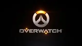 Zarya team kill