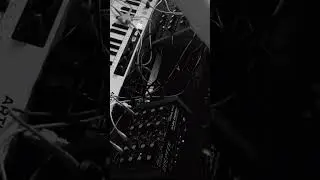 #shorts #dawless Session #electronicmusic #analog #arp #synth #doepfer #juno #pulsar