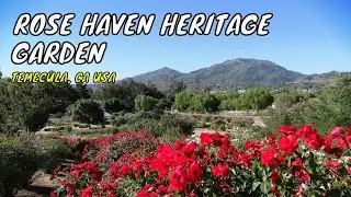Rose Haven Heritage Garden - Temecula, CA USA | Travel Vlog