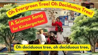 Oh, Evergreen Tree! Oh, Deciduous Tree!- A Science Song for Kids
