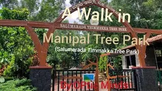 A Walk Around Manipal Tree Park(Salumarada Timmakka Tree Park Manipal) |OPtic Minds |#4thVlog