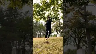 Wingchun PakSao / bongsau drill | training forms | #ipman #gongfu #wushu #tao #lineage #philosophy