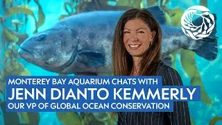 LinkedIn live replay with Jennifer Dianto Kemmerly
