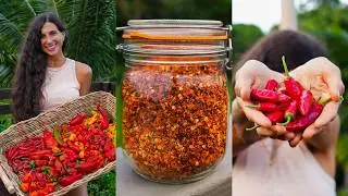 How I Grow & Make My Own Chili Pepper Seasoning for an Entire Year 🌶️ Organic Garden to Kitchen Tips