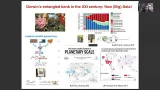 Taxonomic classification method for metagenomics based on core protein families with Core-Kaiju