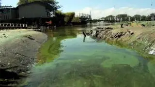 Quasar Energy | Great Lakes Now Connect: Freshwater & Farming