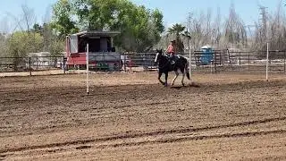 Logie and Lilly poles 2022 Robertson&rsquo;s