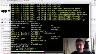 Jump start your project with Angular CLI and Yarn