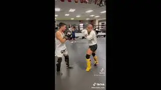 Fairtex SP3 PRO Style Muay Thai Shin Guards