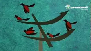 IDSFFK Signature Film (HD) 2012