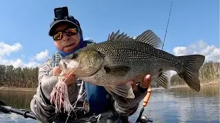 PTP Fishing  - Super morning  - North Pine Dam