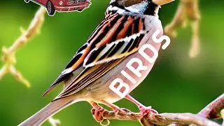 Use “pic see” app to make youtube thumbnails