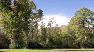 Camp Lantern Creek: A Texas Summer Camp, Retreat, & Events Center